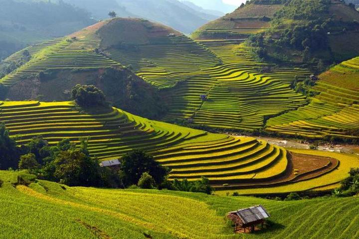 Sốc: Vụ tố