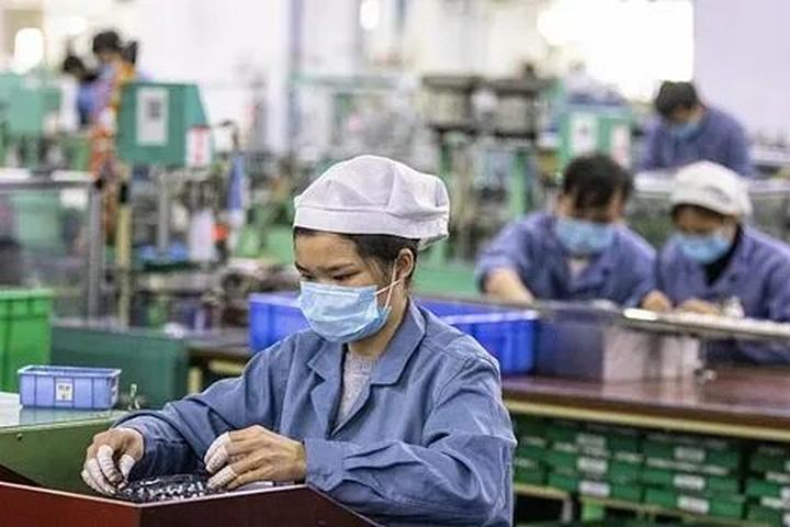 Từ 3 loại rau quả là “ổ ký sinh đến chiến lược content: Hotspot Matrix chia sẻ