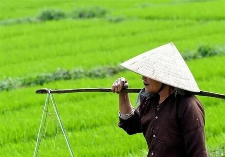 Từ Bé 12 tuổi sốc sốt xuất huyết đến chiến lược content: Hotspot Matrix chia sẻ