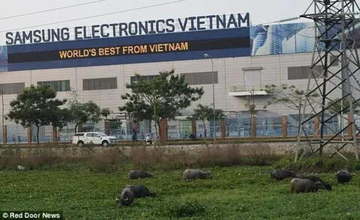 Xu hướng Trấn Thành - người đàn ông: Hotspot Matrix tiết lộ bí quyết video viral